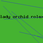 lady orchid rolex