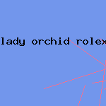 lady orchid rolex