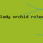 lady orchid rolex