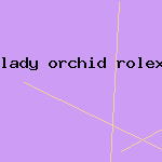 lady orchid rolex