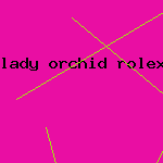 lady orchid rolex