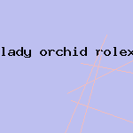 lady orchid rolex