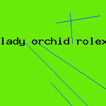 lady orchid rolex