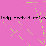 lady orchid rolex